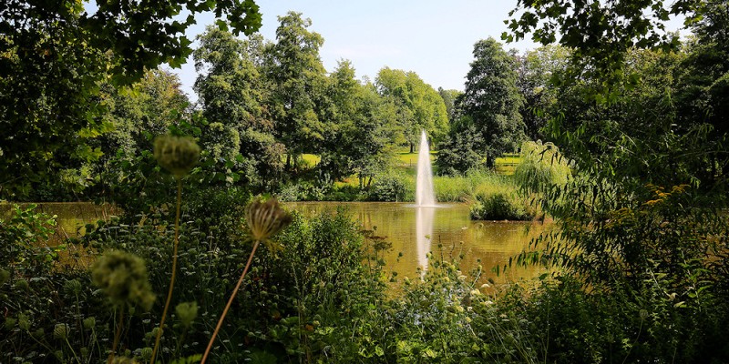 Grünes Idyll: der Krayer Volksgarten