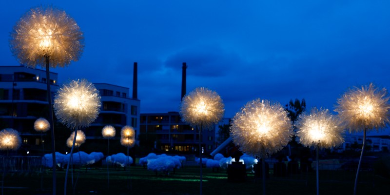 Foto: "Giant Dandelions"