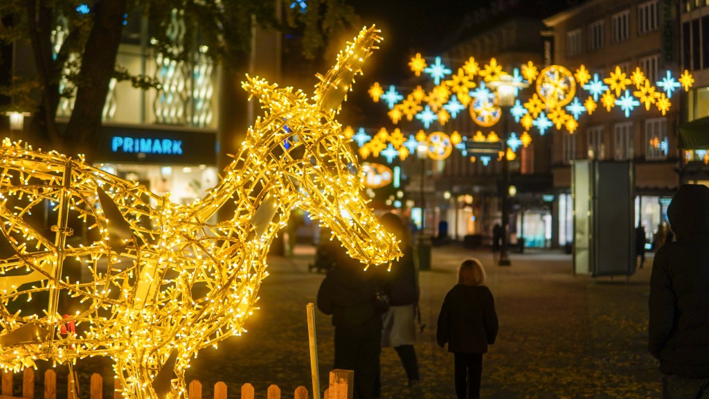 Känguru auf der Kettwiger Straße 