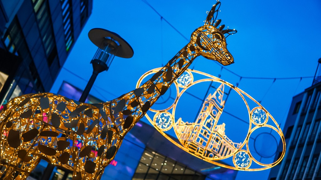 Giraffe an der Porschekanzel