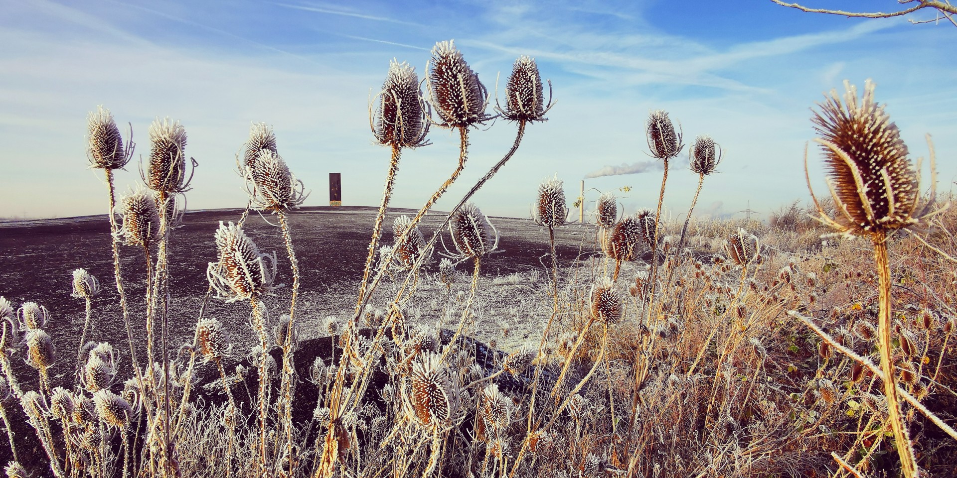 Schurenbachhalde in de winter