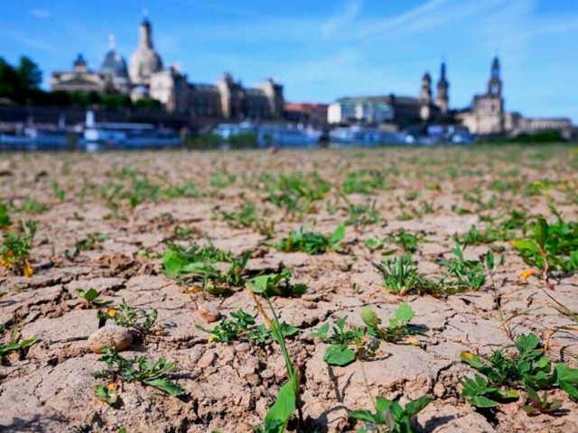 Foto: Trockener Erdboden mit vereinzelten grünen Pflanzen vor einer Gebäudekulisse
