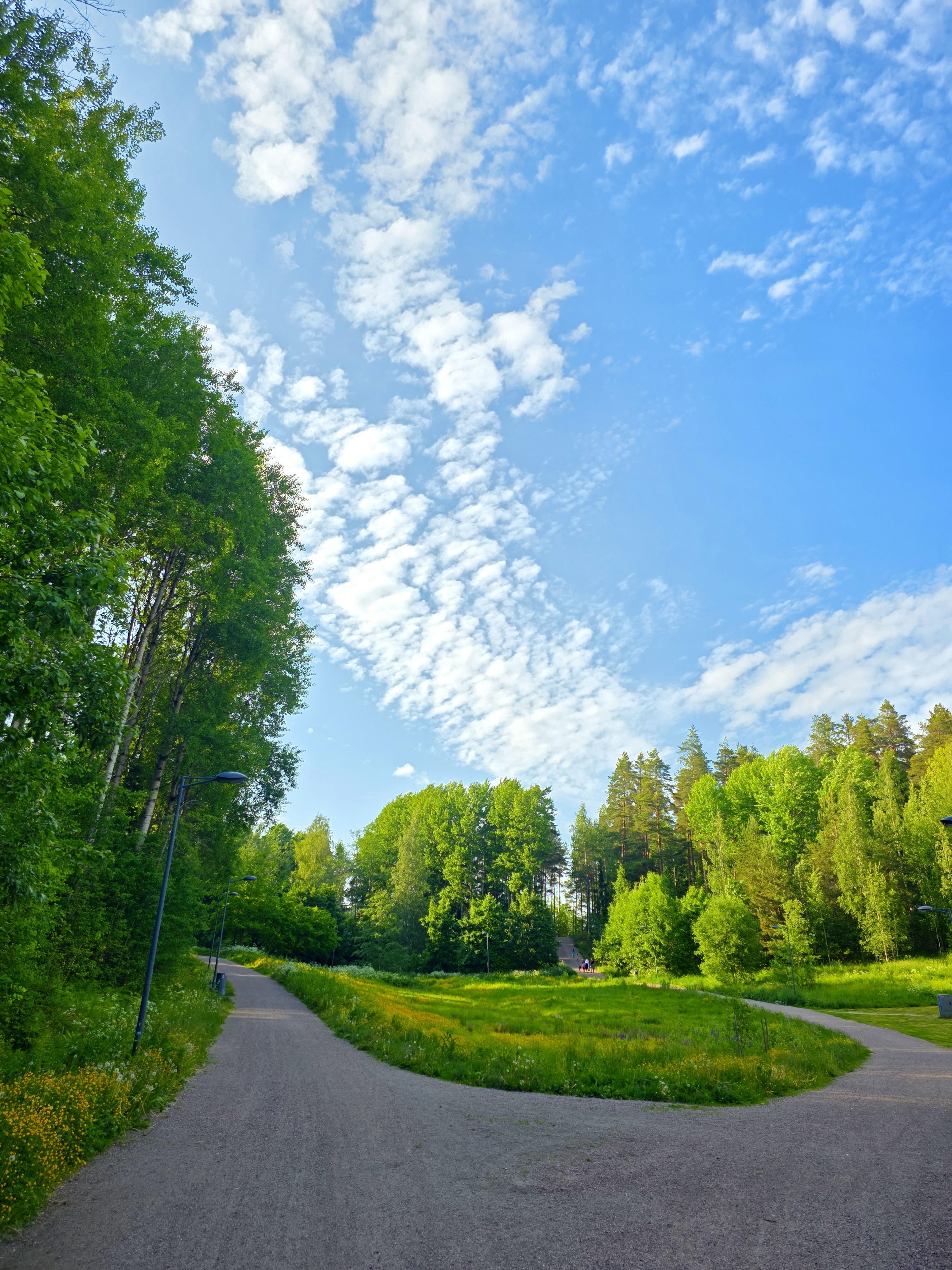 Landschaftsfoto aus dem Espoo Central Park