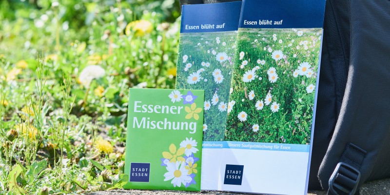 Samentütchen Essener MIschung