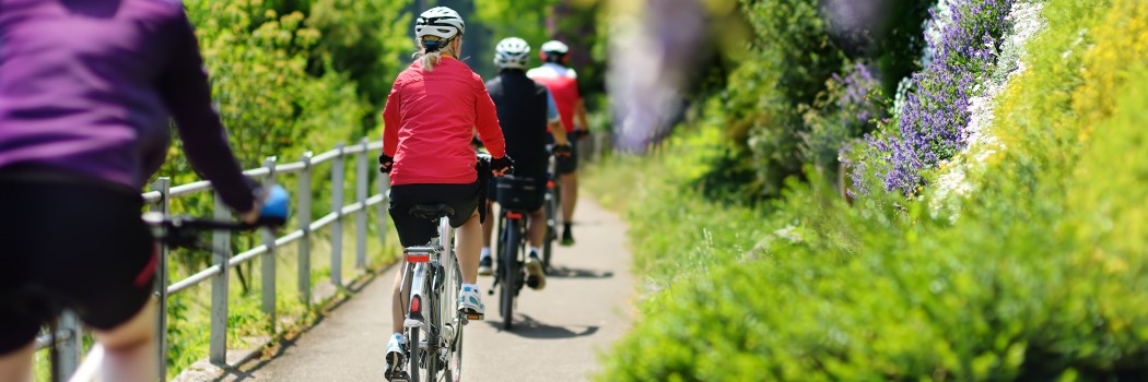 Foto: Fahrradfahrergruppe, die an einem Sommertag im sonnigen Park radeln.