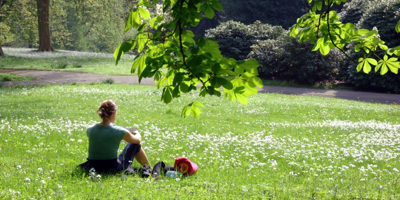 Foto: Frau sitzt auf einer Wiese im Sommer