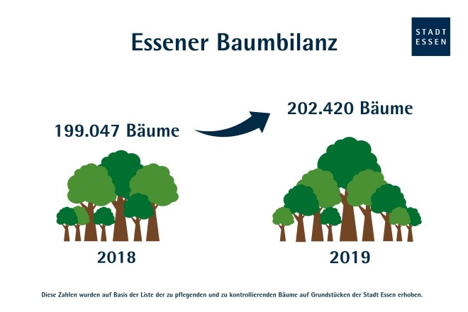 Infografik zur Essener Baumbilanz 