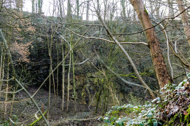 Der Steinbruch an der Laupendahler Landstraße soll künftig als Naturschutzgebiet ausgewiesen werden.
