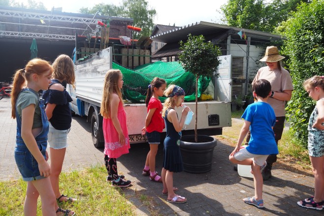 Forschen und Entdecken an der Junior Uni Essen, hier gemeinsam mit der Knappmann GmbH & Co. Landschaftsbau KG.