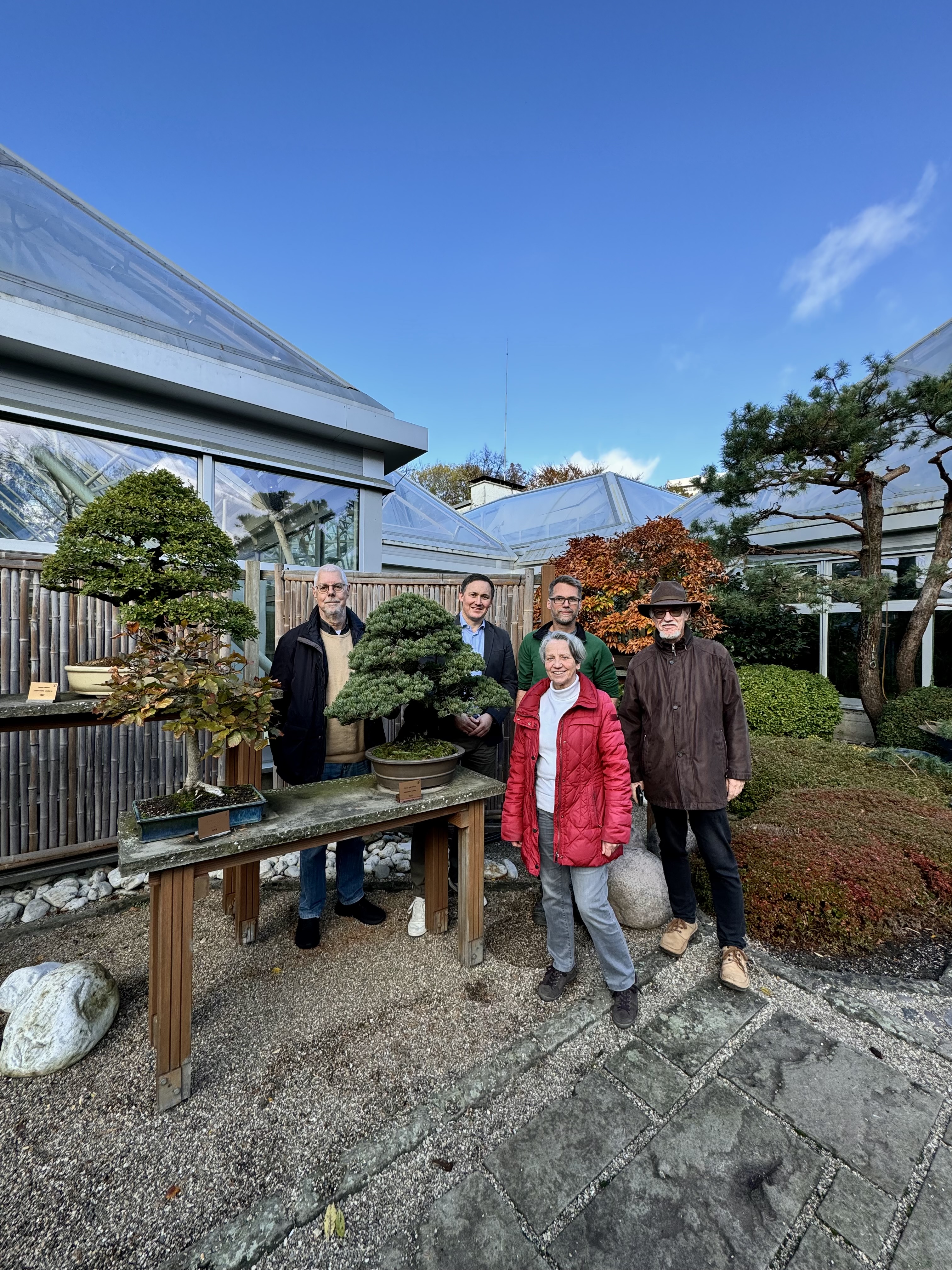 Freundeskreis Grugapark Essen e.V. spendet Mdchenkiefer fr  Gruga-Bonsaisammlung - essen.de