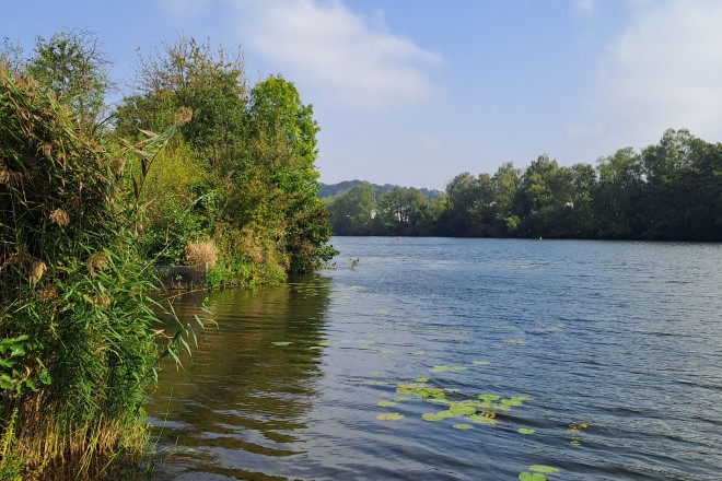 Im gesamten Essener Stadtgebiet sind elf Naturschutzgebiete verteilt, davon liegen vier Gebiete unmittelbar an der Ruhr. 