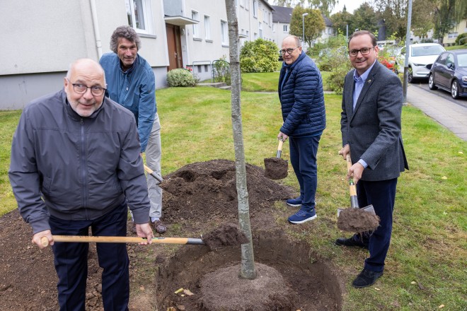 (v.r.n.l.) Oberbürgermeister Thomas Kufen, Bezirksbürgermeister Frank Stienecker, Allbau-Aufsichtsrats-Vorsitzender Christoph Kerscht und Allbau-Geschäftsführer Dirk Miklikowski pflanten die Amerikanische Roteiche.