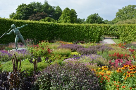 Sommerblumen blühen im Lindenrund