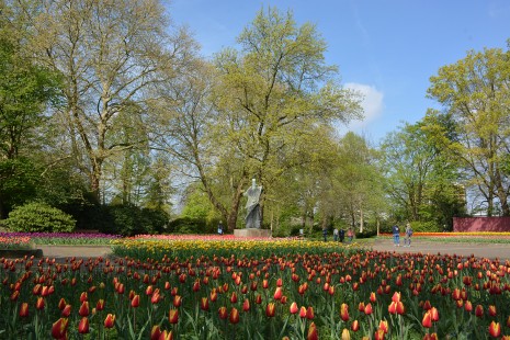 Tulpen blühen auf den Farbenterrassen