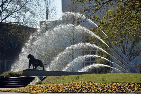 Tiger und Font&auml;ne am Haupteingang