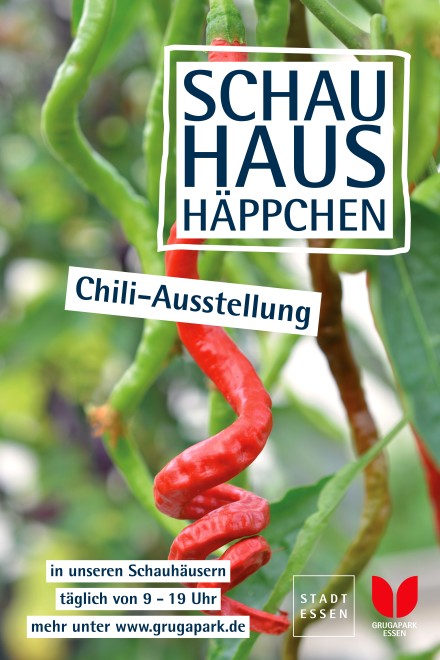 Plakatmotiv Chili-Ausstellung