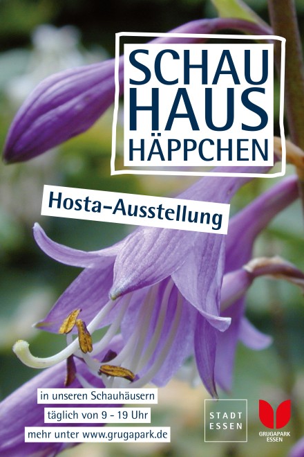 Plakatmotiv Hosta-Ausstellung