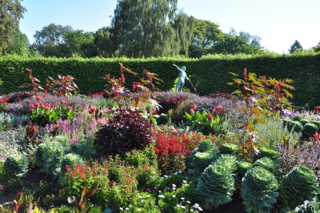 Sommerblumen bl&uuml;hen im Lindenrund