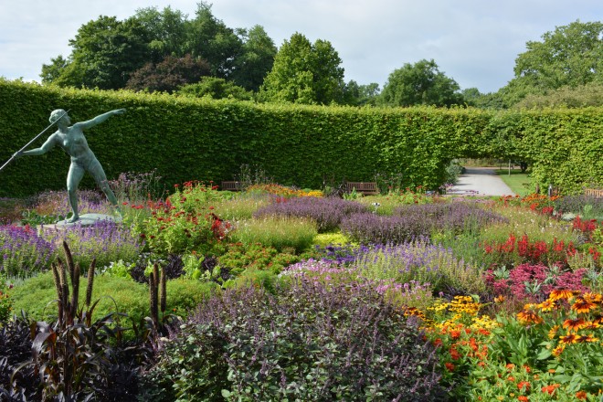 Sommerblumen im Lindenrund